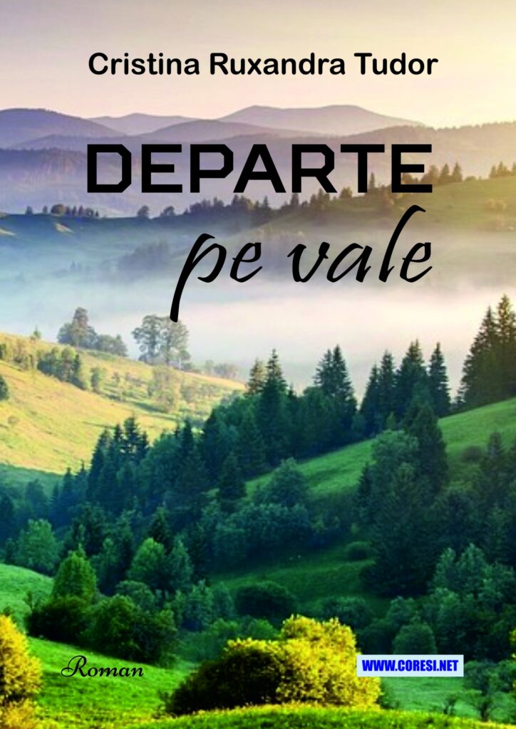Book cover for Departe pe vale. Roman