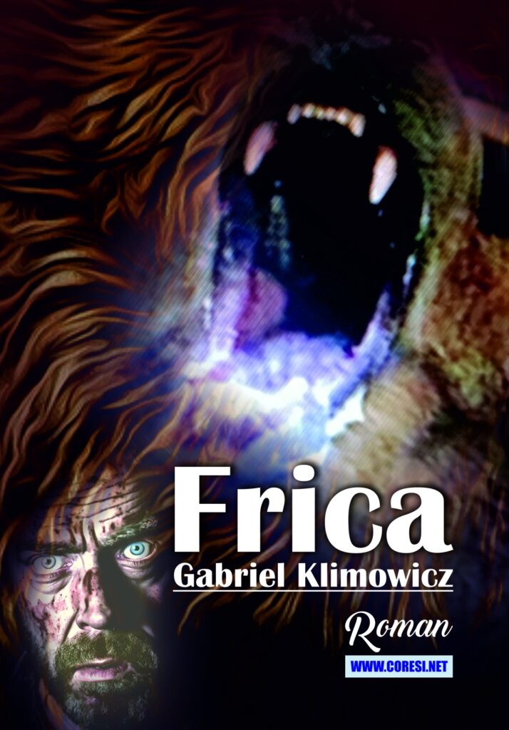 Book cover for Frica