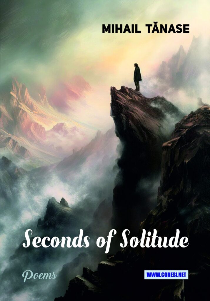 Book cover for Seconds of solitude