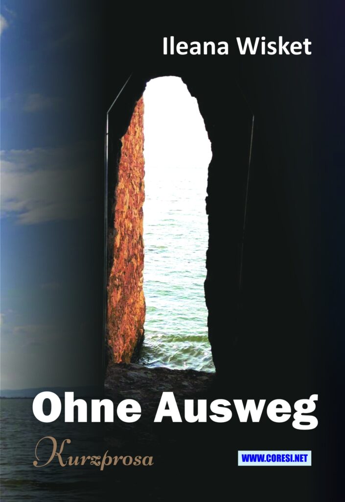 Book cover for Ohne Ausweg